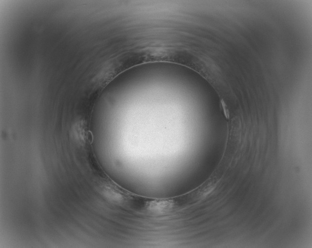 X0000063480135200601201253