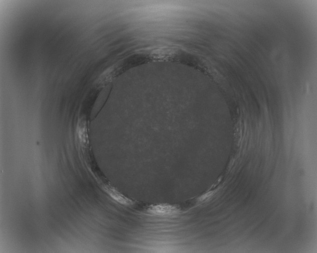 X0000063480137200601201253