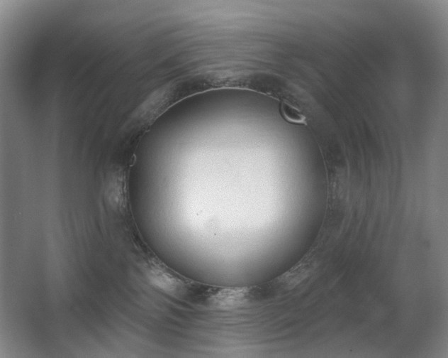 X0000063480138200601201253