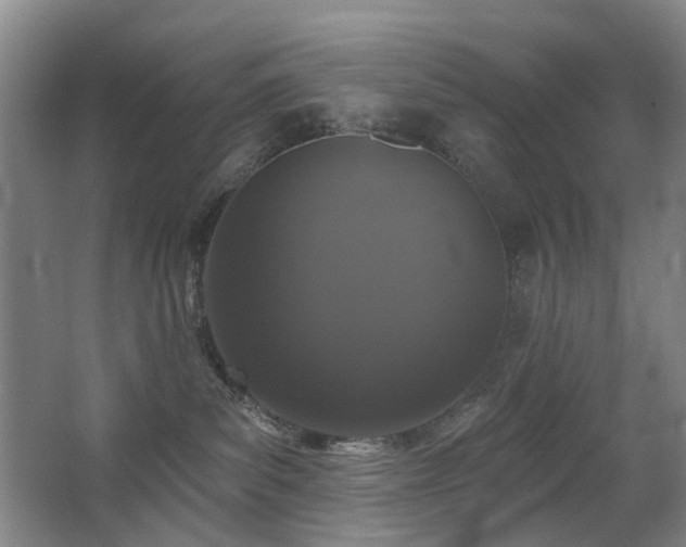 X0000063480139200601201253