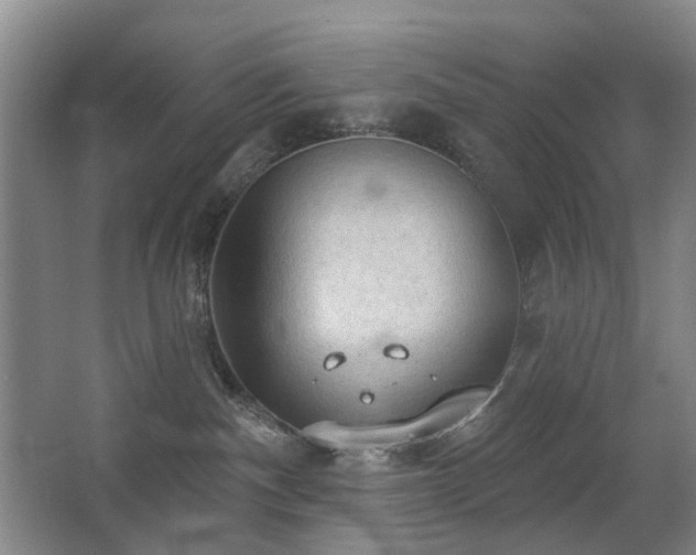 X0000063480140200601201253