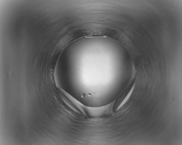 X0000063480141200601201253