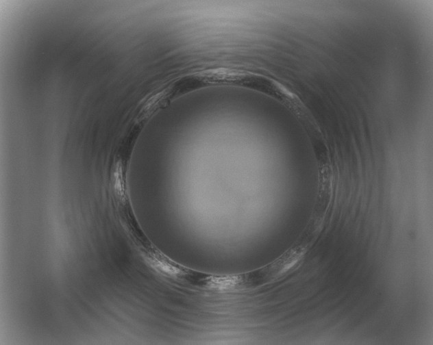 X0000063480143200601201253