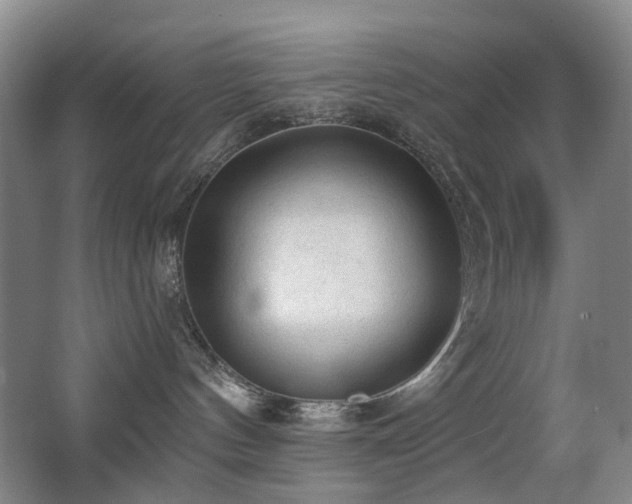 X0000063480144200601201253