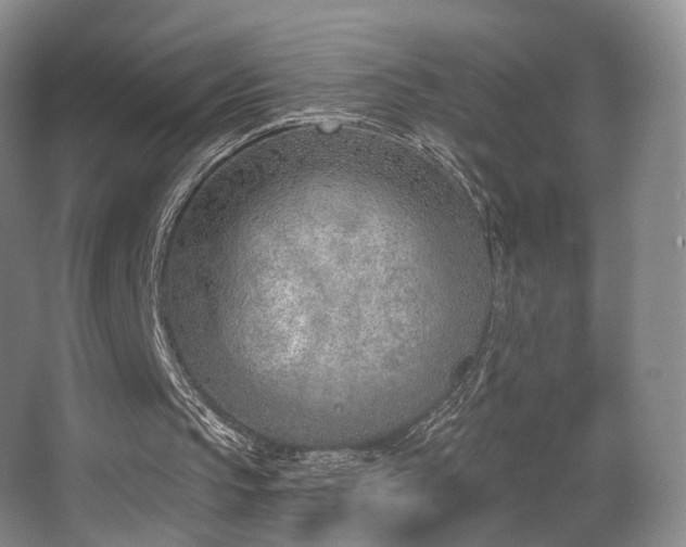 X0000063480145200601201252