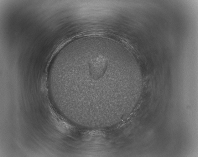 X0000063480146200601201252