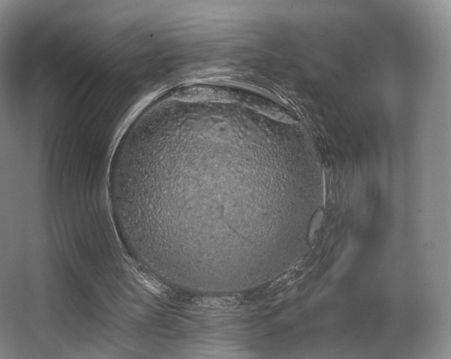 X0000063480147200601201252