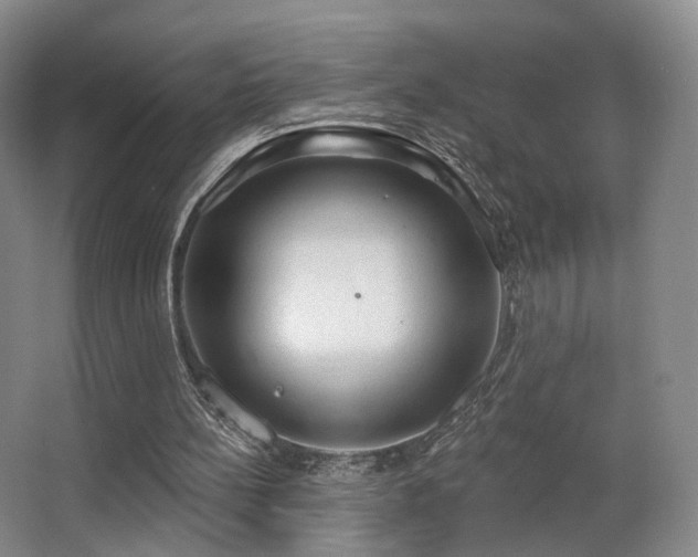 X0000063480148200601201252