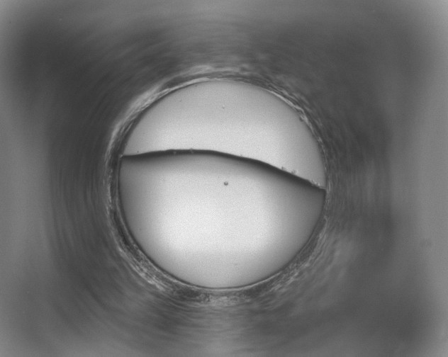 X0000063480149200601201252