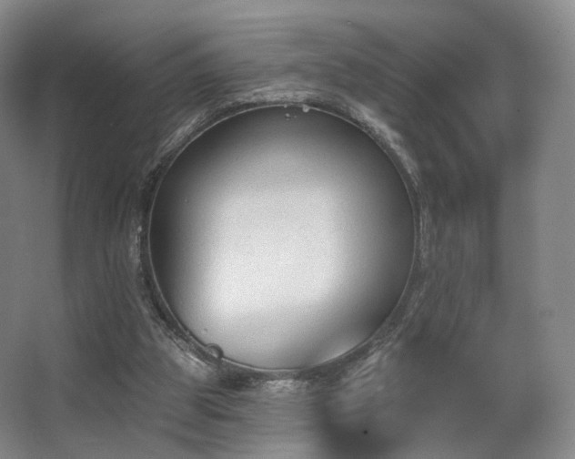 X0000063480153200601201252