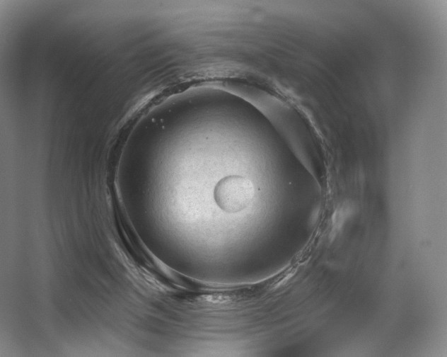 X0000063480154200601201252