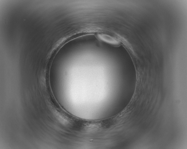 X0000063480155200601201252