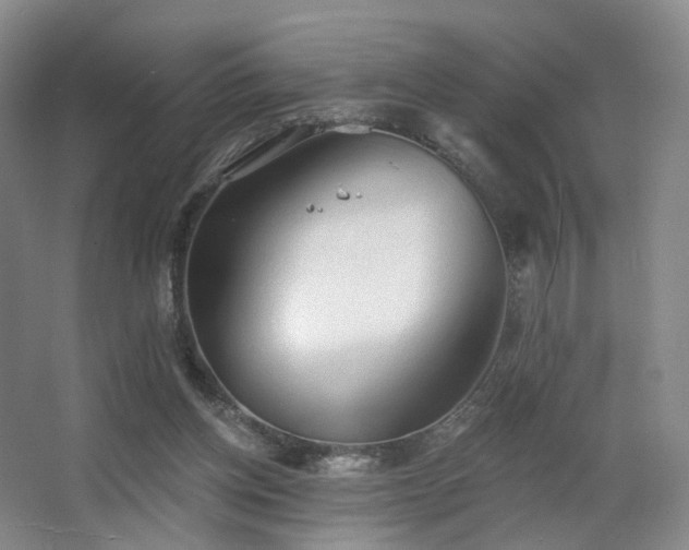 X0000063480158200601201252