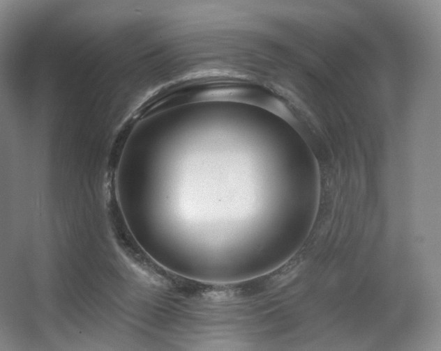 X0000063480160200601201252