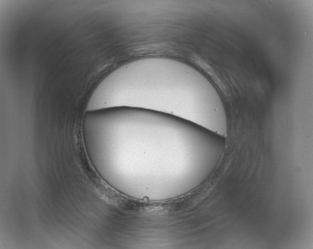 X0000063480161200601201252