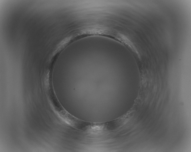 X0000063480163200601201252