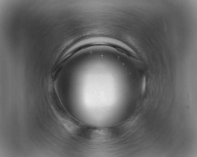 X0000063480164200601201252