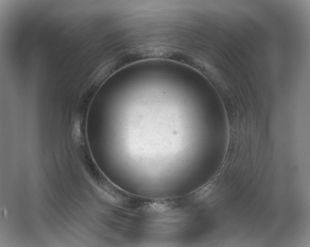 X0000063480166200601201252