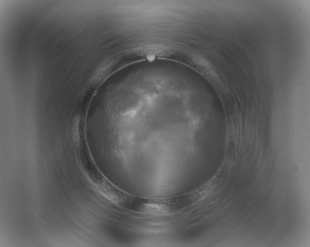 X0000063480167200601201253