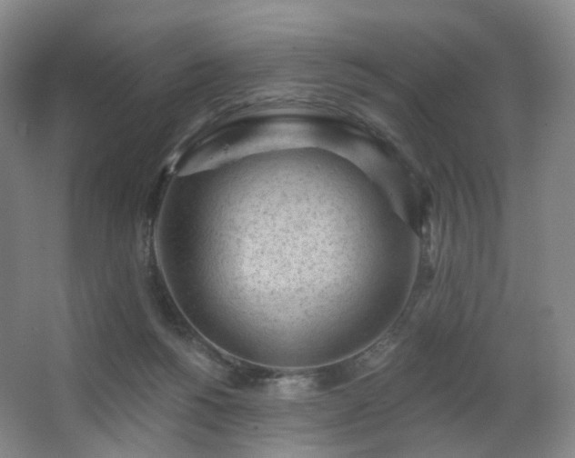 X0000063480168200601201253