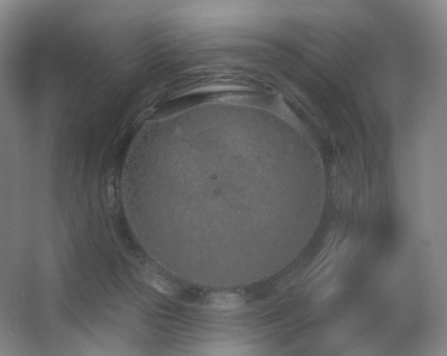 X0000063480169200601201253