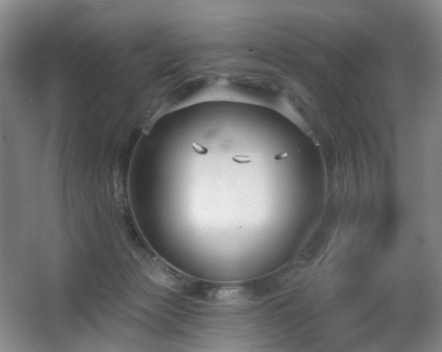 X0000063480173200601201253