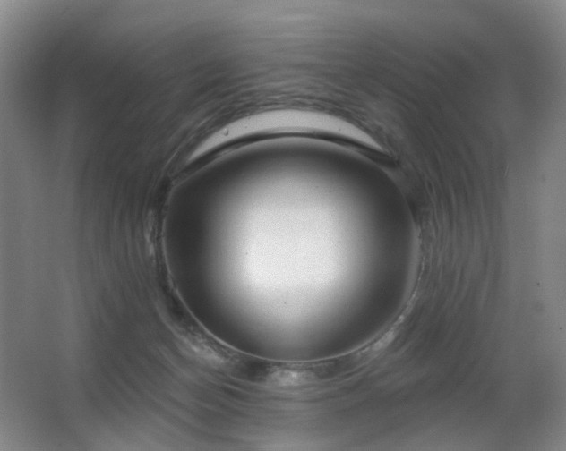 X0000063480174200601201253