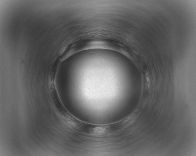 X0000063480176200601201253