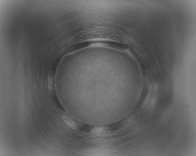 X0000063480177200601201253