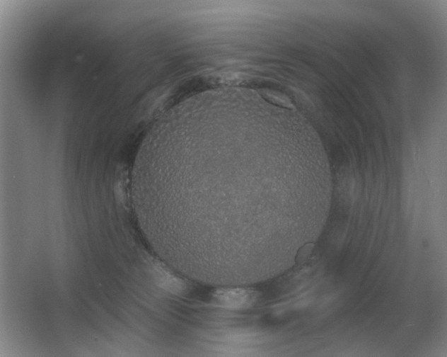 X0000063480181200601201253