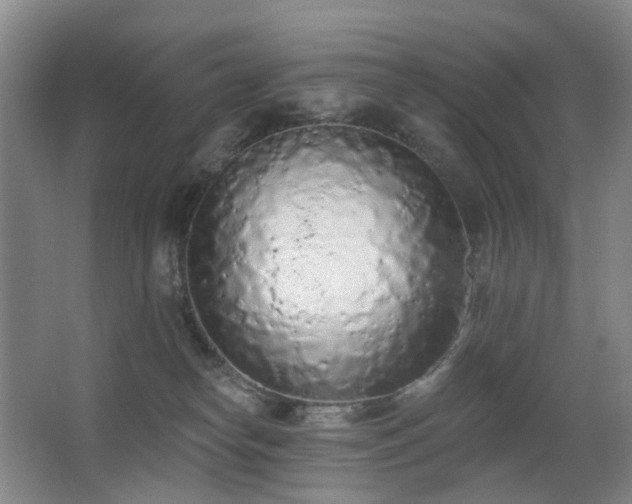 X0000063480182200601201253