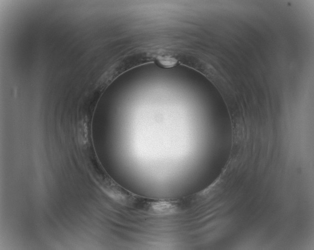 X0000063480183200601201253