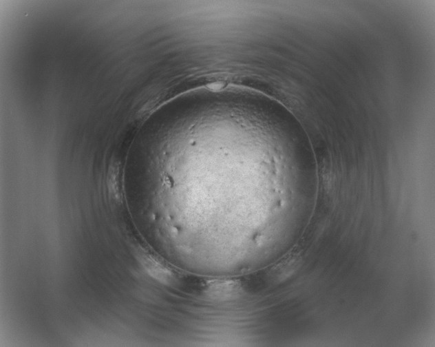 X0000063480185200601201253