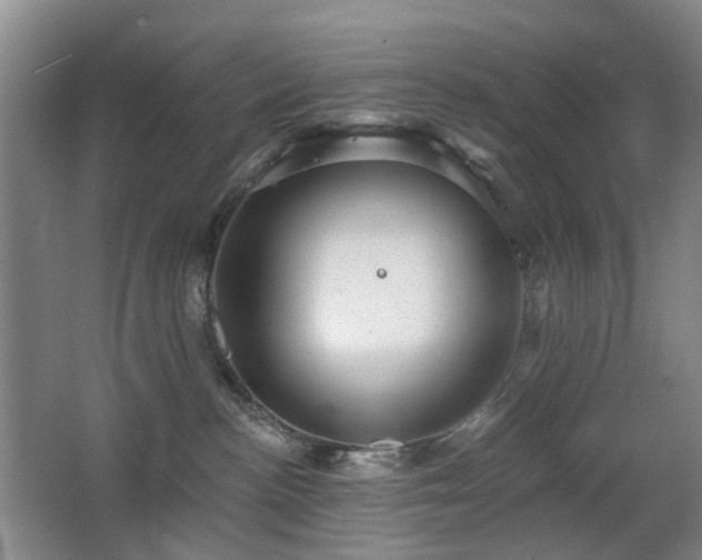 X0000063480188200601201253