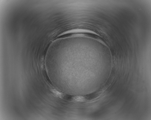 X0000063480189200601201253