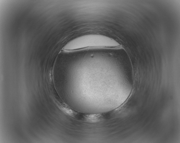 X0000063480191200601201253