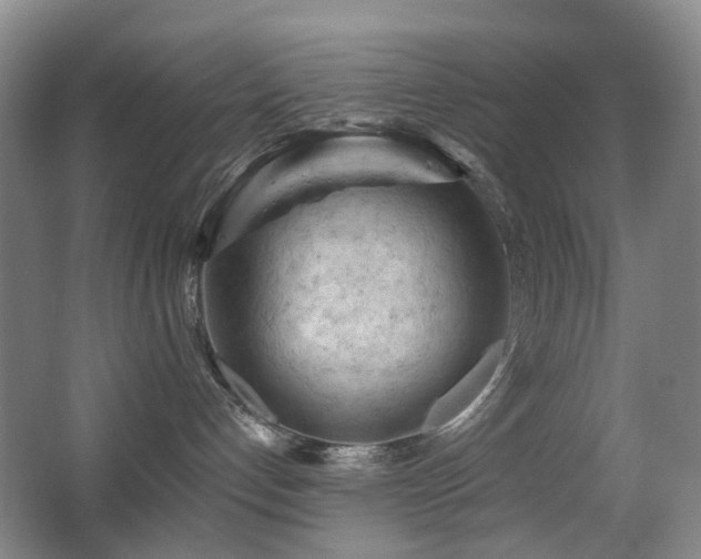 X0000063480192200601201253