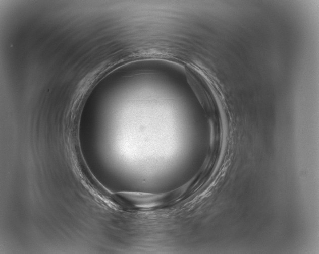 X0000063480193200601201252