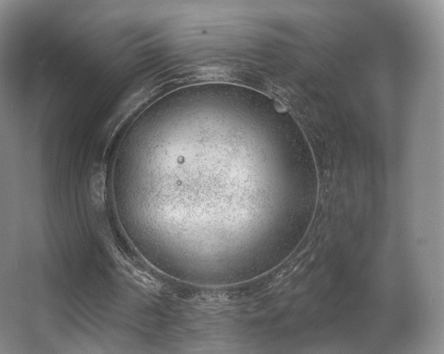 X0000063480194200601201252