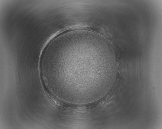 X0000063480196200601201252