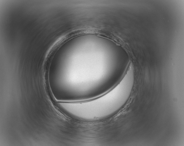 X0000063480197200601201252