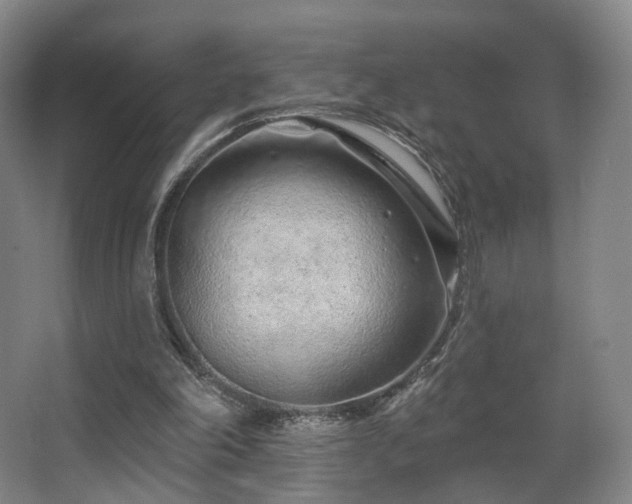 X0000063480198200601201252