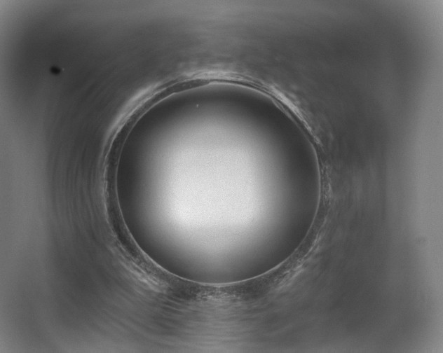 X0000063480199200601201252