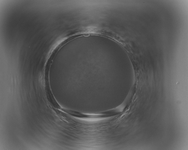 X0000063480200200601201252