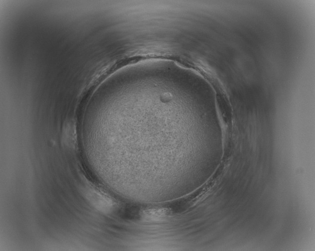 X0000063480202200601201252