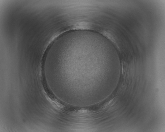 X0000063480204200601201252