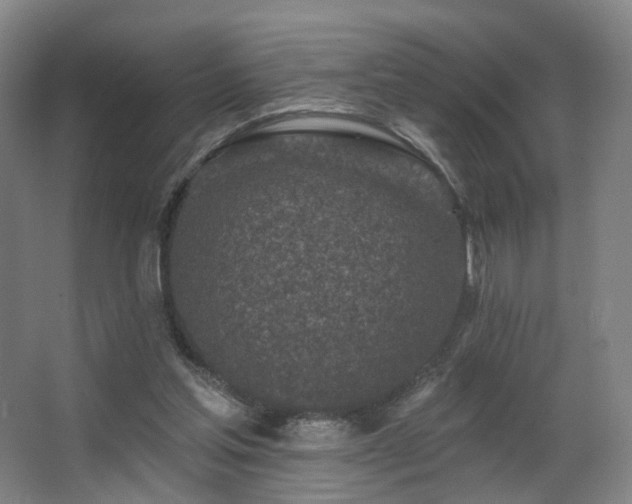 X0000063480205200601201252