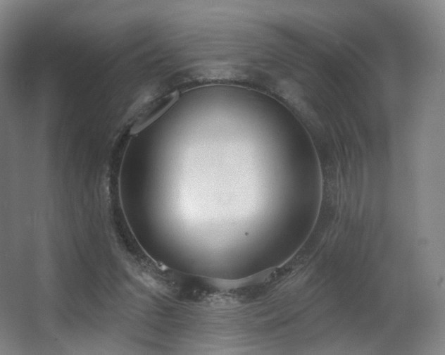 X0000063480207200601201252