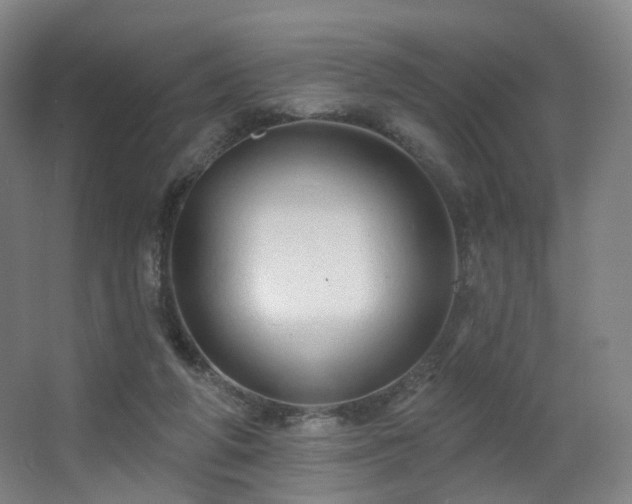 X0000063480210200601201252