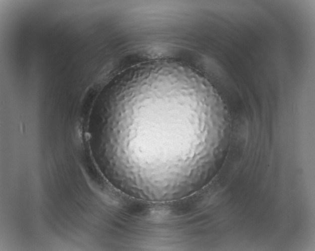 X0000063480214200601201252